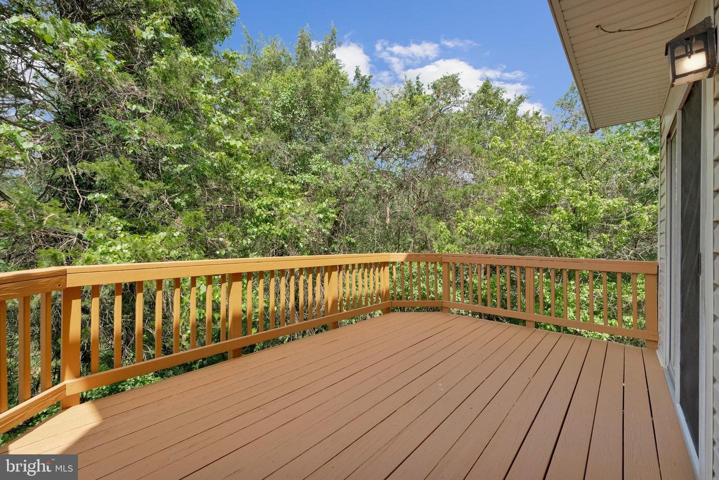 21676 Calamary Circle photo 42