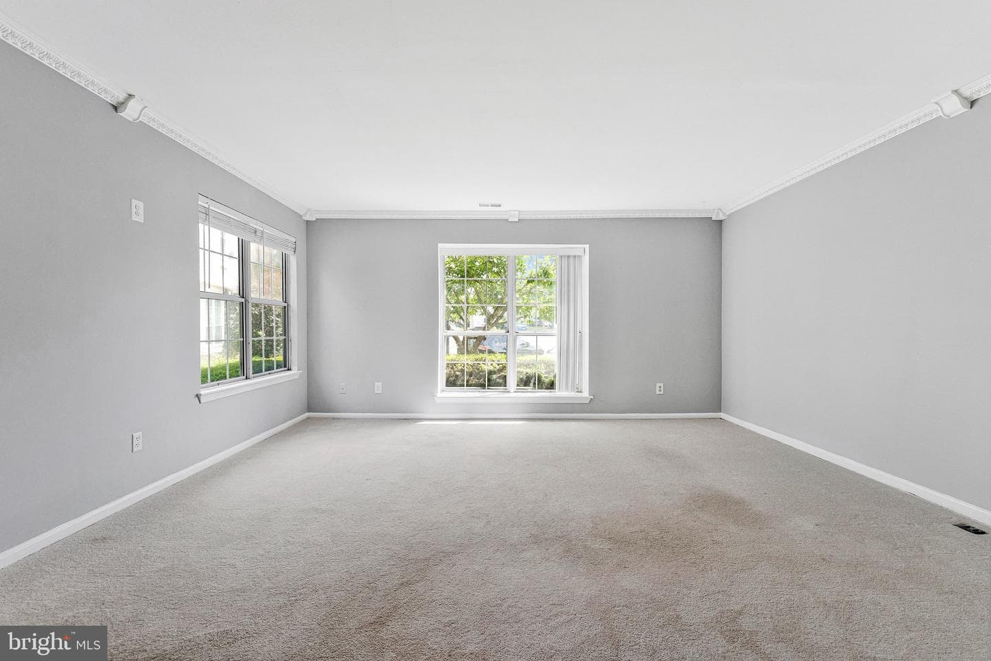 21676 Calamary Circle photo 8