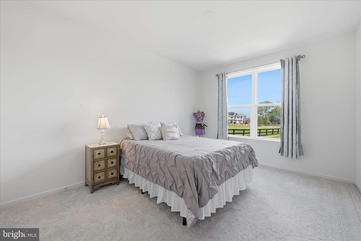 12104 Sunflower Field Place photo 39