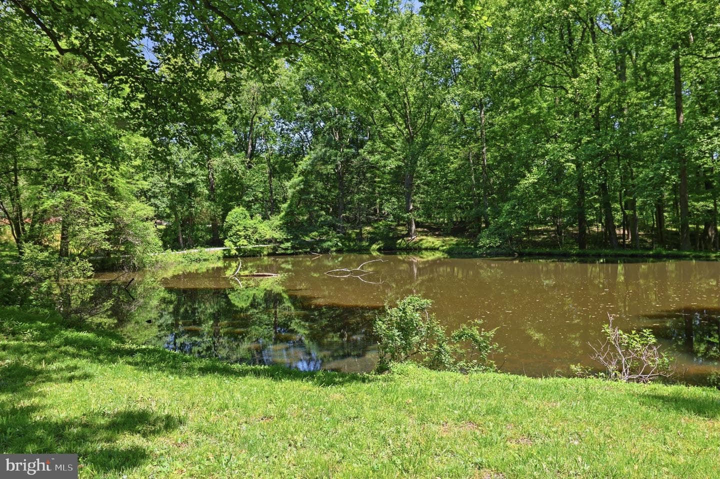14424 Dove Ln photo 4