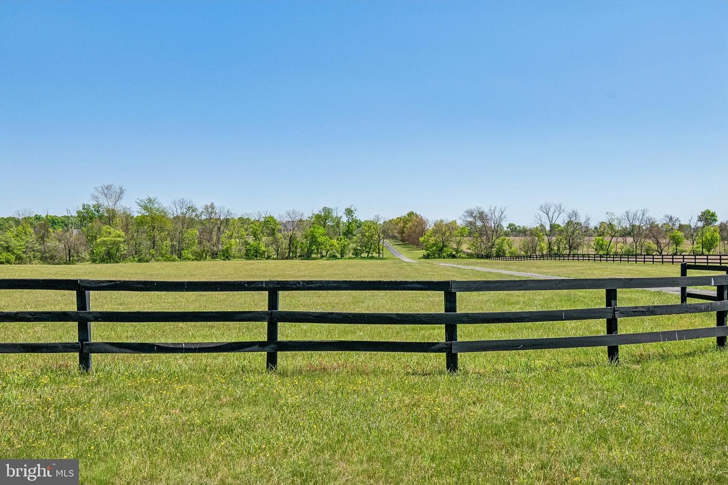 15028 Merritt Farm Lane photo 39