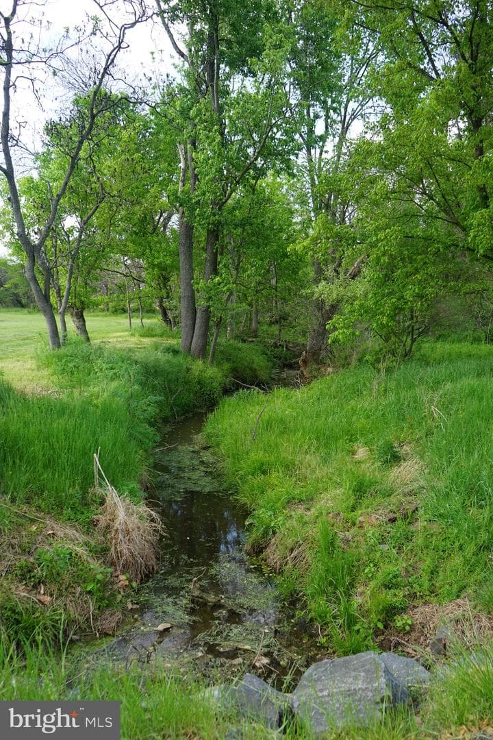 15028 Merritt Farm Lane photo 71