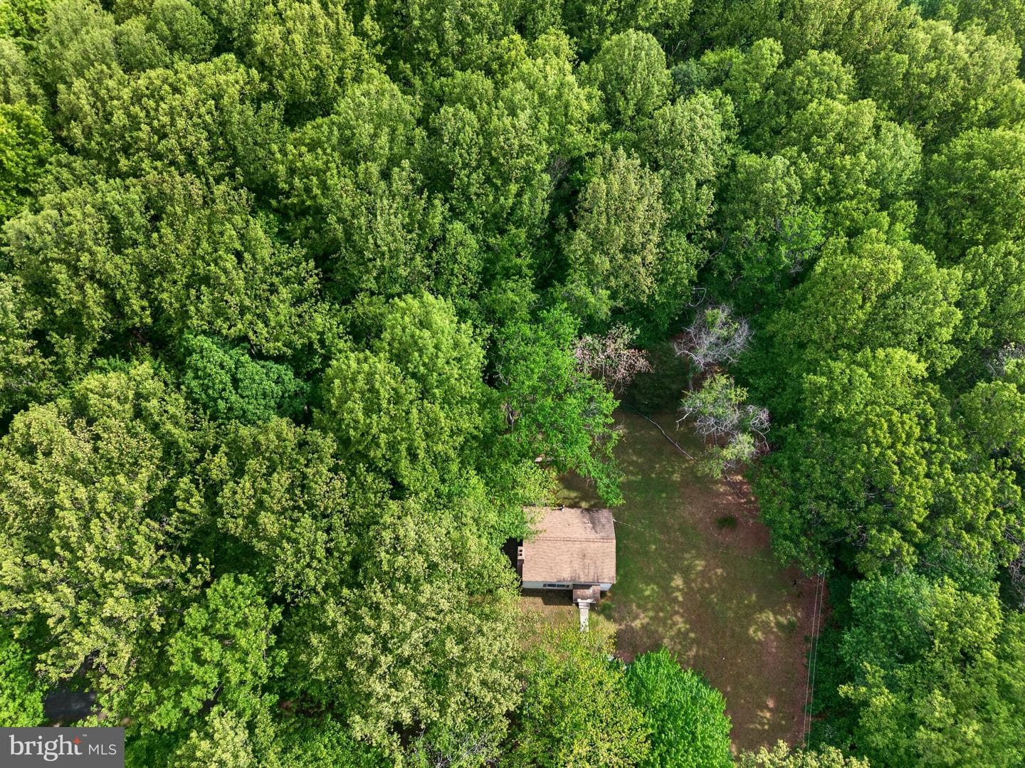 39600 Bluegrass Lane photo 9