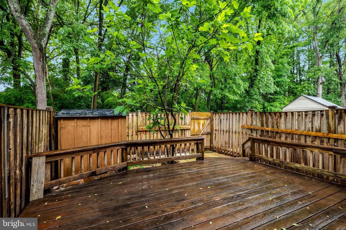 43 Sugarland Square Ct photo 31