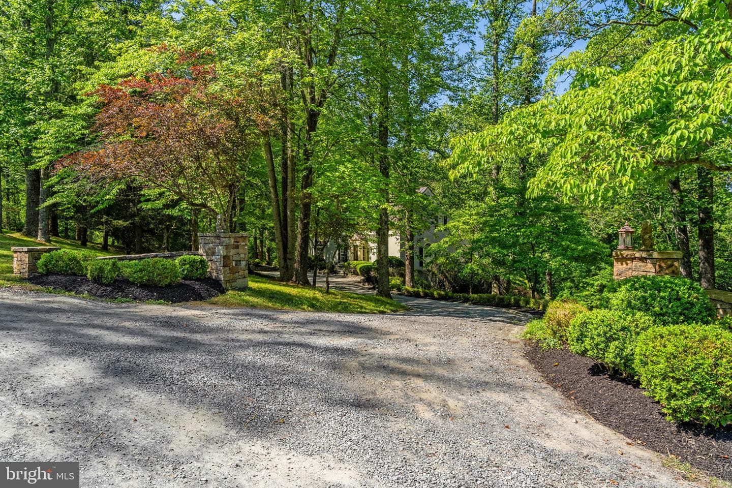 22065 Whitetail Ridge Lane photo 2