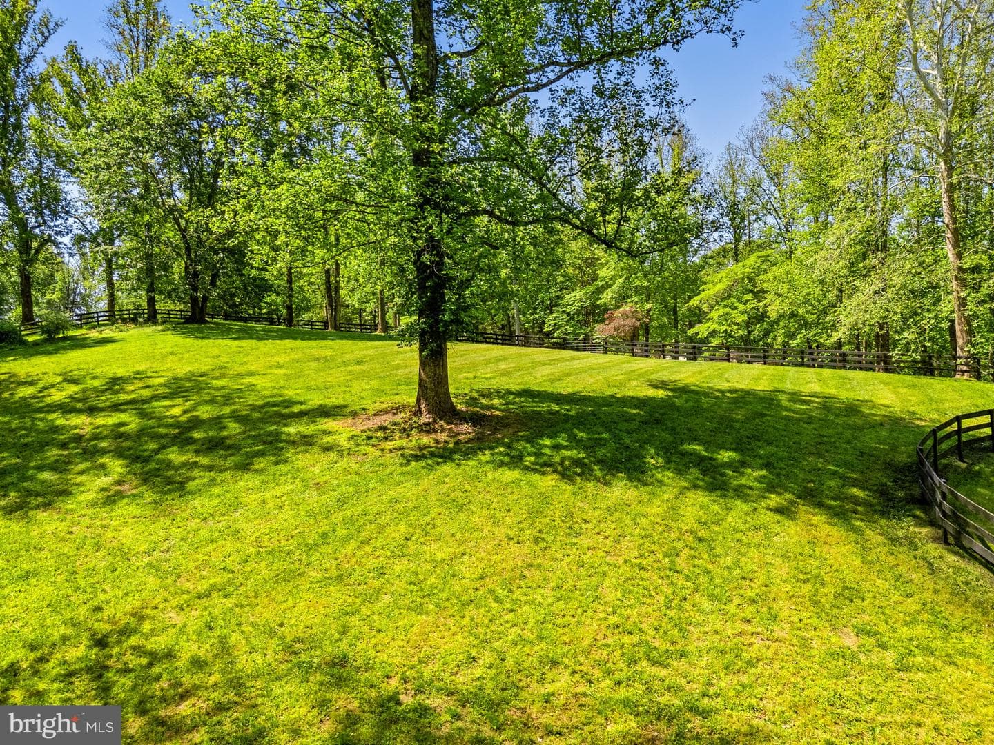 22065 Whitetail Ridge Lane photo 58