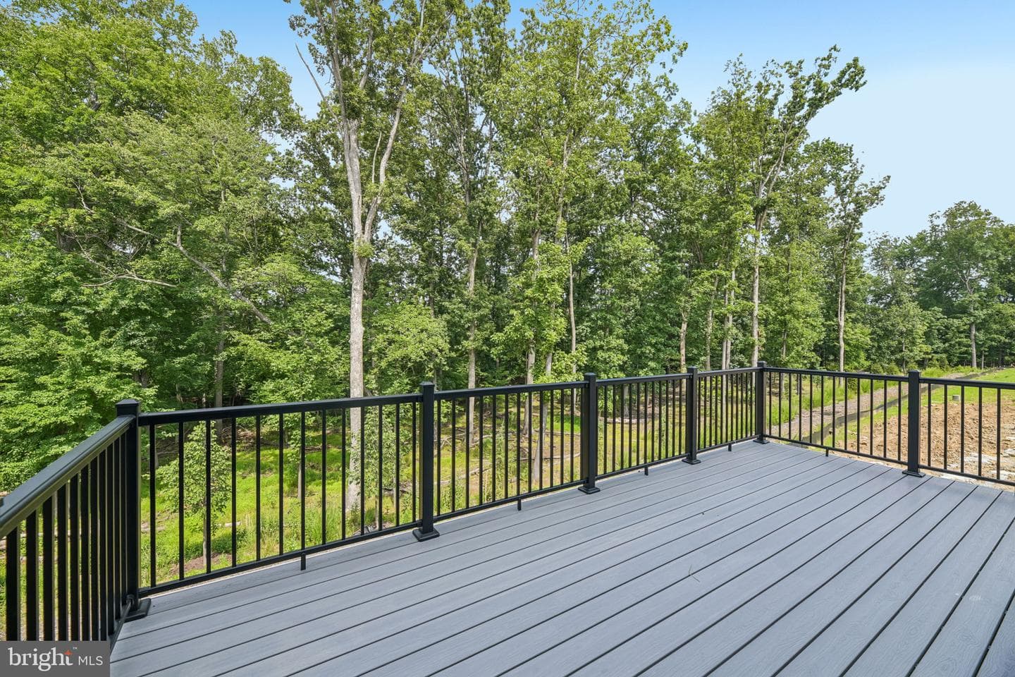 42223 Picasso Square #homesite 4332 photo 50