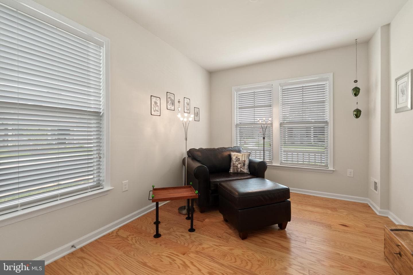 46408 Reddish Knob Drive photo 26
