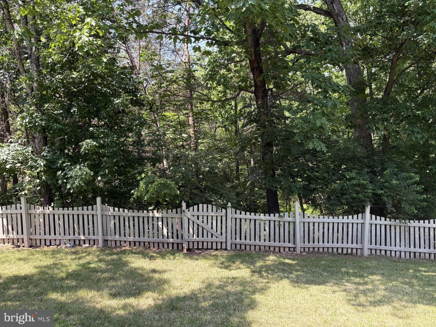 21745 Regents Park Circle photo 23