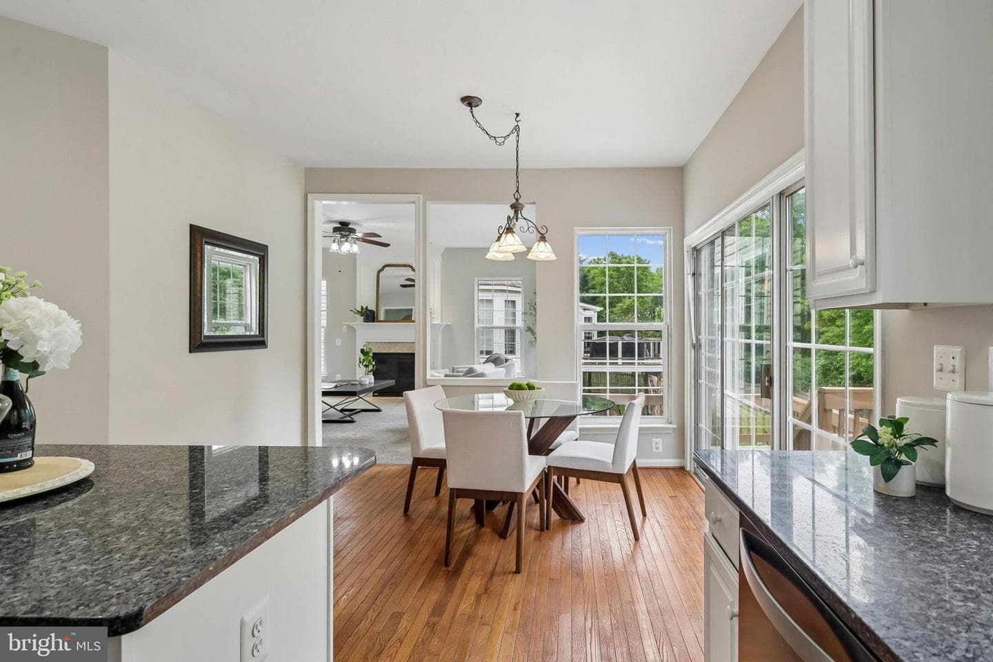 21745 Regents Park Circle photo 42