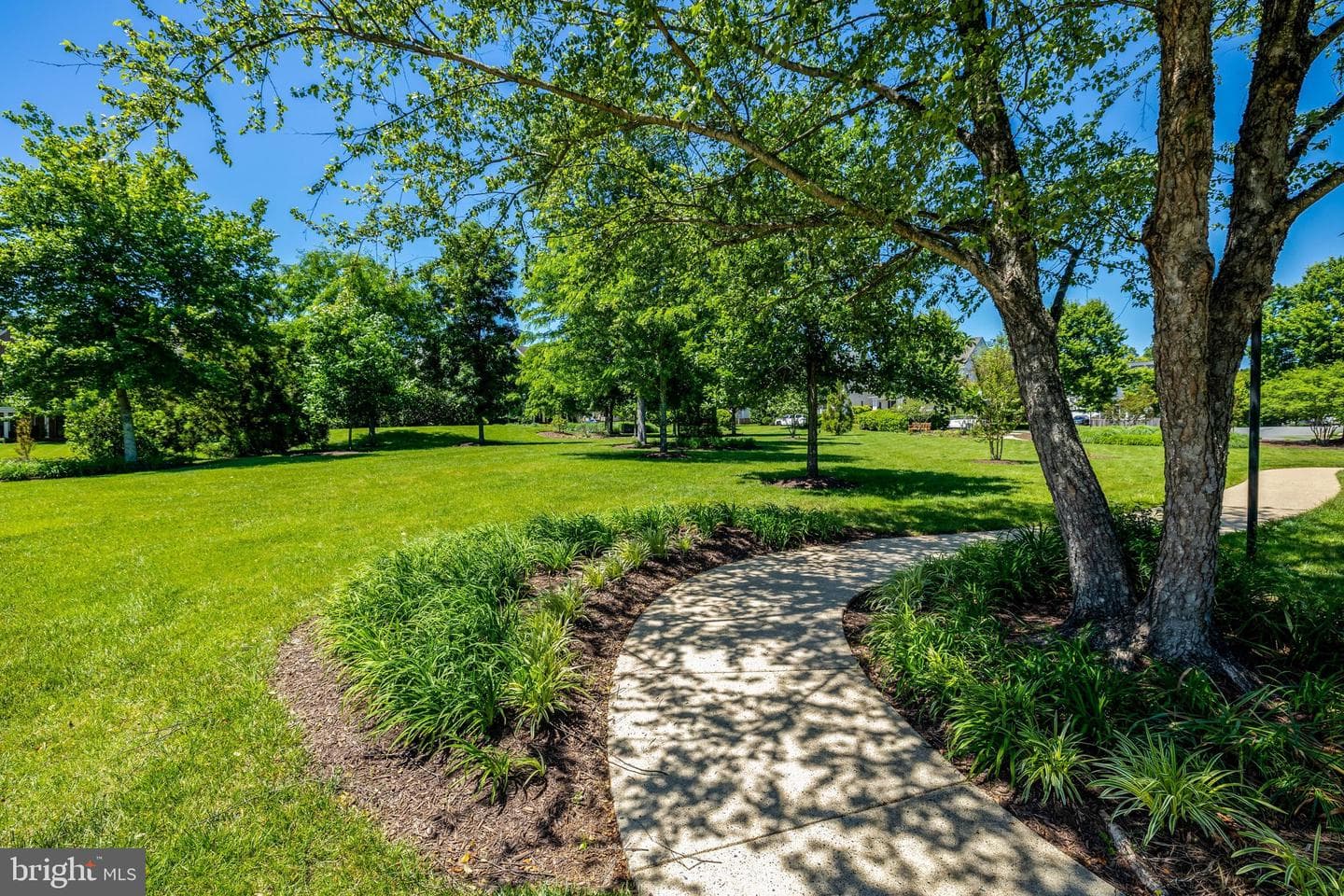 41058 Dorati Square photo 48