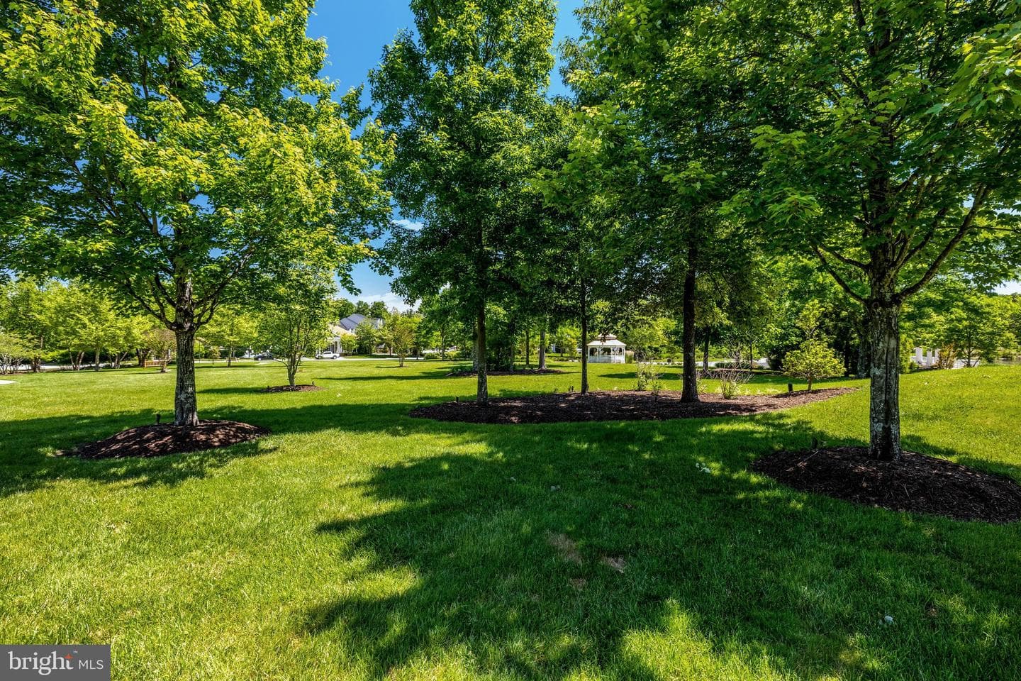 41058 Dorati Square photo 52