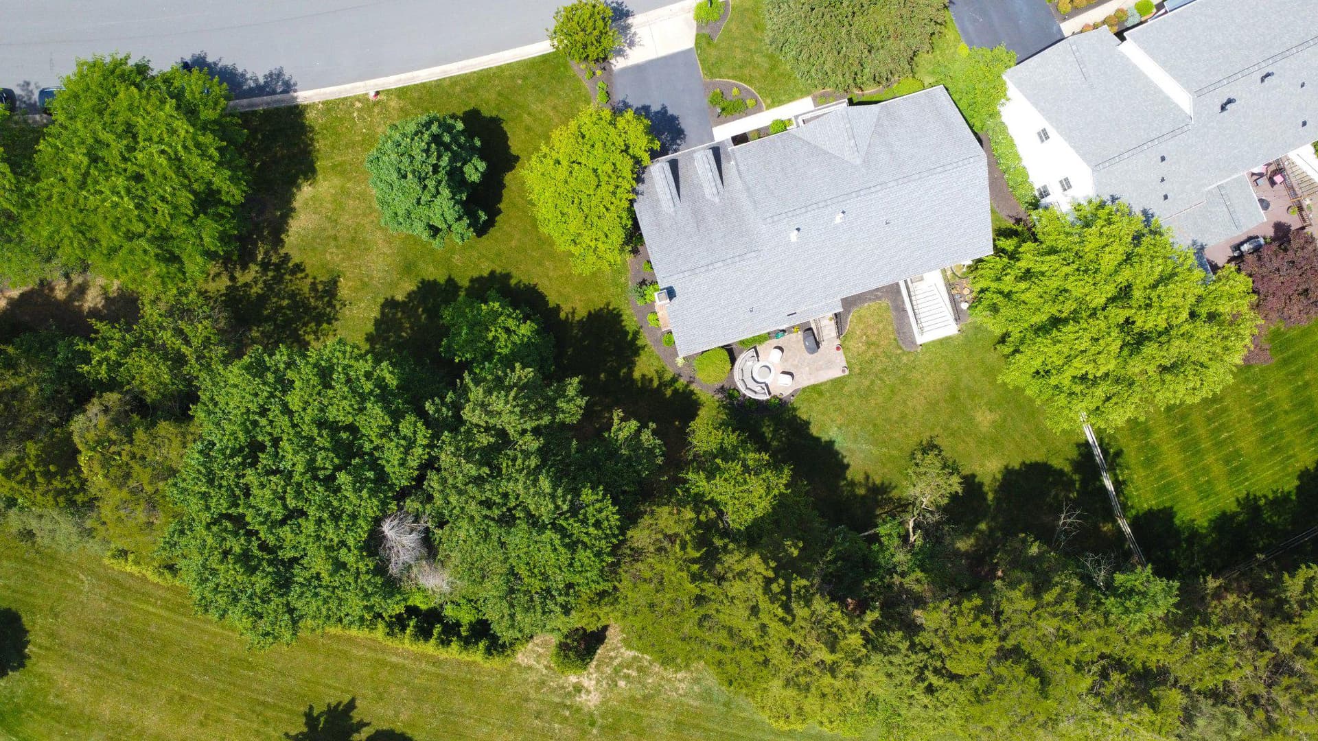42943 Coralbells Place photo 45
