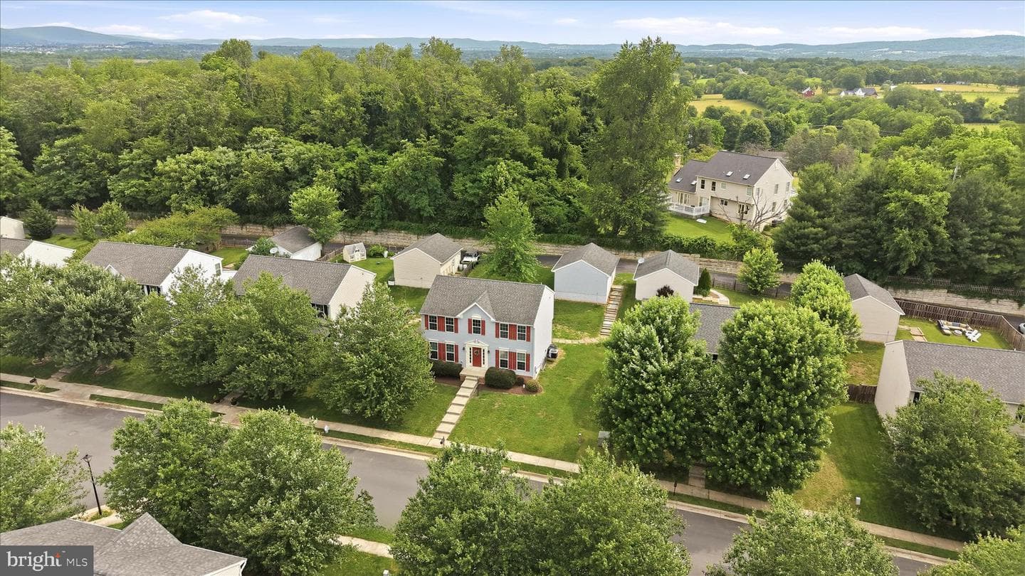 20 Tilgham Place photo 49