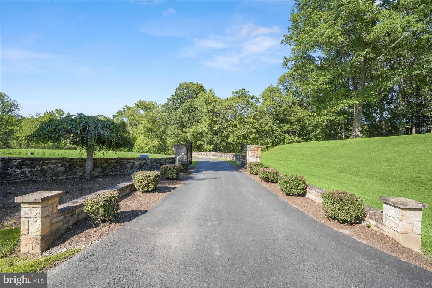 20295 Sommerset Court photo 2