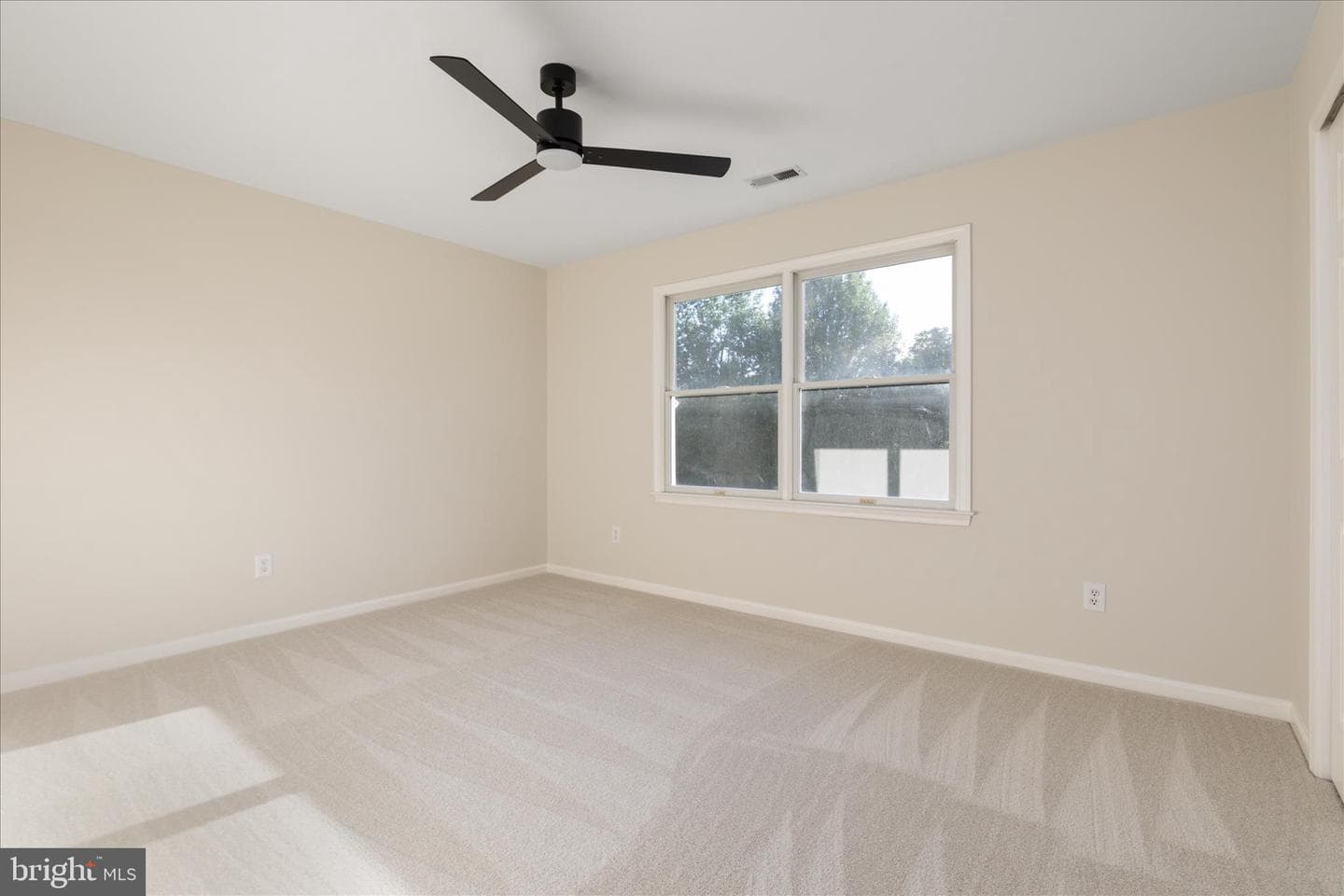 43870 Ludlum Court photo 24