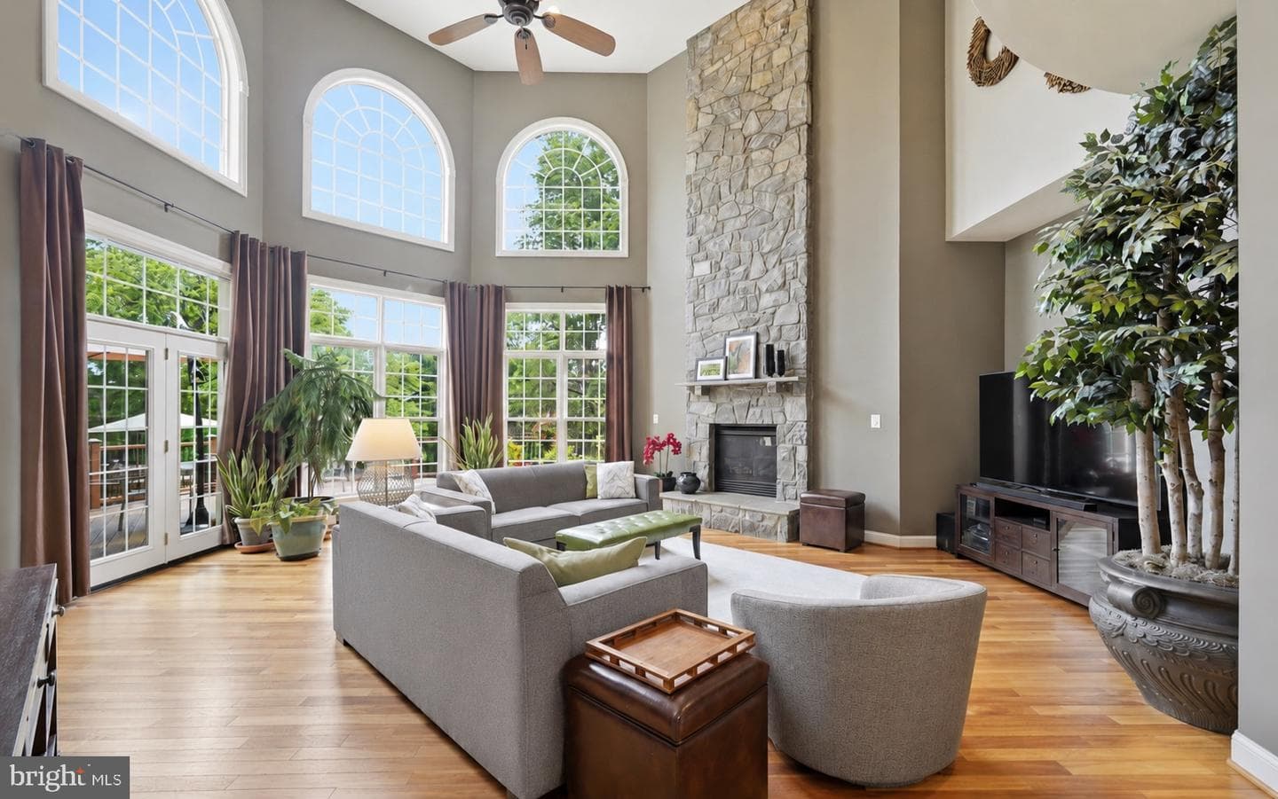 18856 Ridgeback Court photo 19