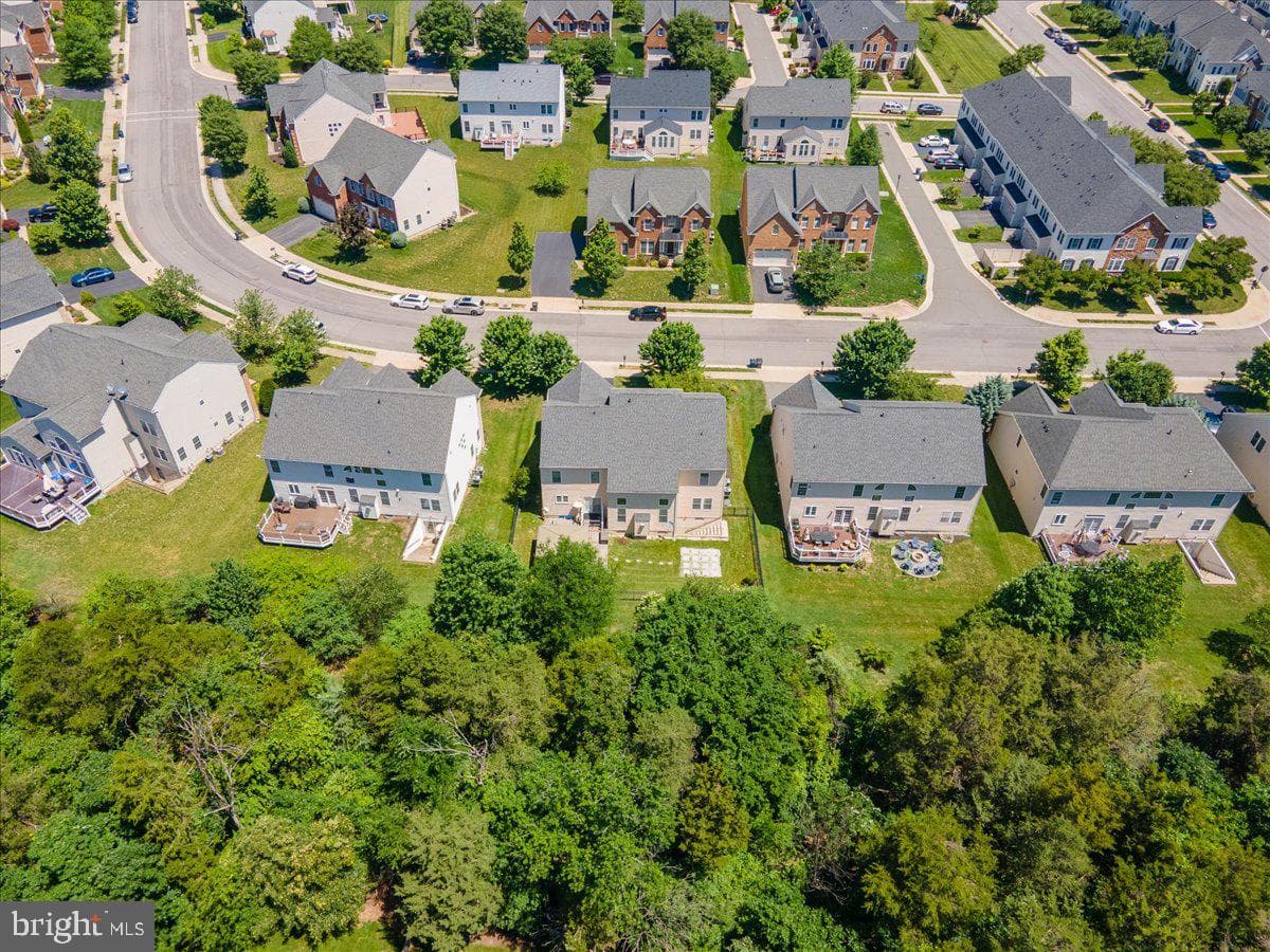 42414 Pine Forest Drive photo 80