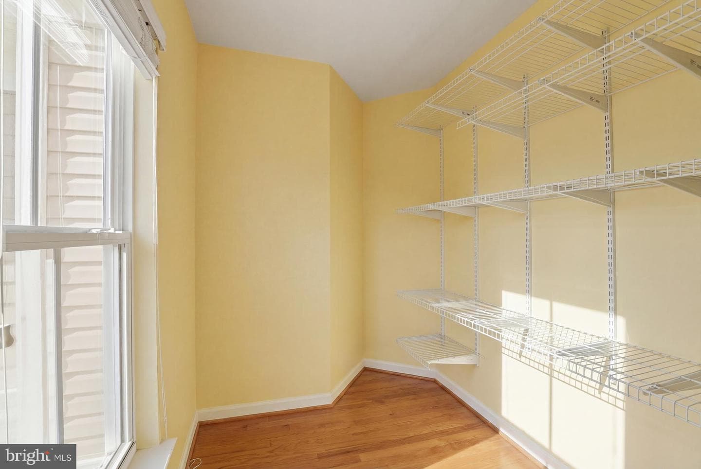 22826 Courtland Park Drive photo 43