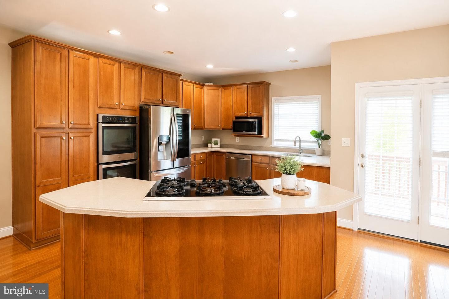 25835 Turlough Terrace photo 18