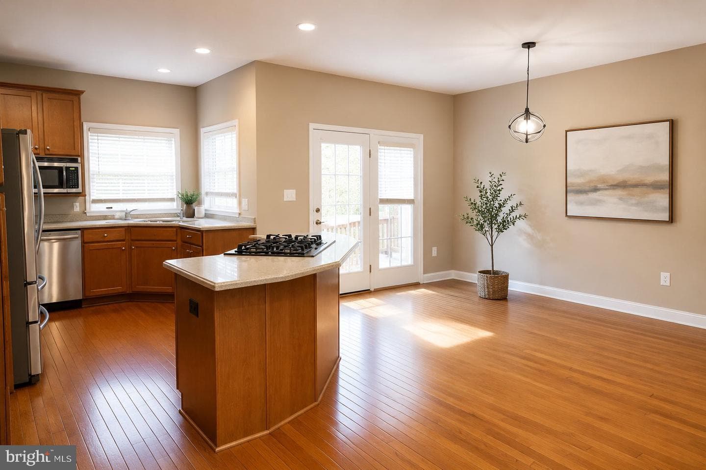 25835 Turlough Terrace photo 22
