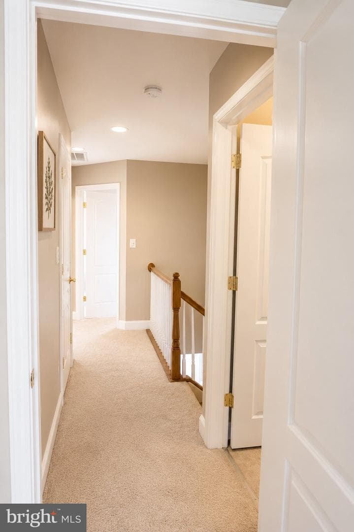 25835 Turlough Terrace photo 35