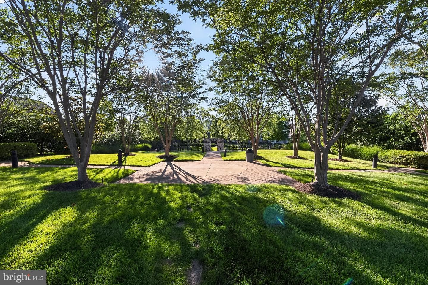 24650 Caribou Square photo 49