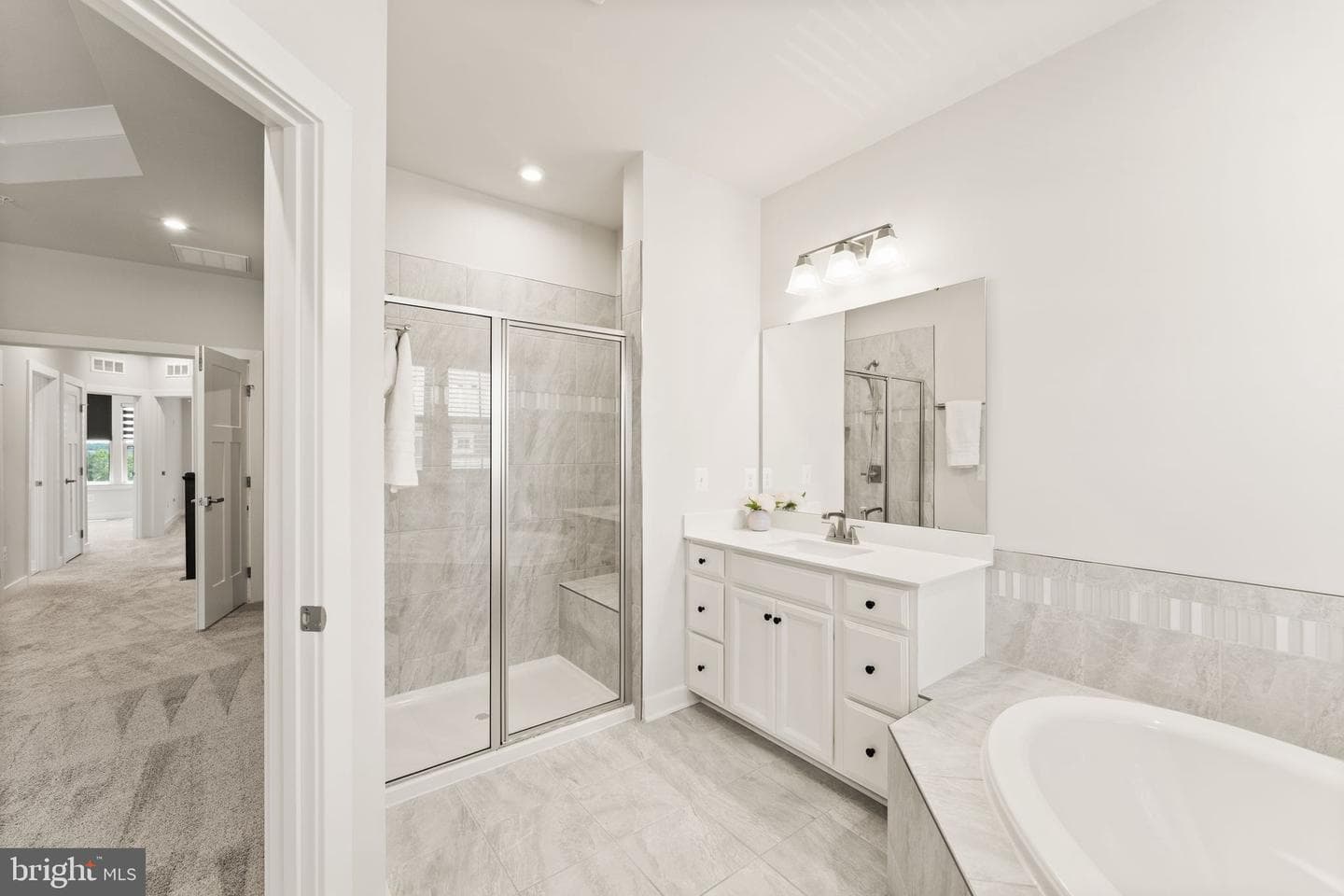 43017 Prophecy Terrace photo 41