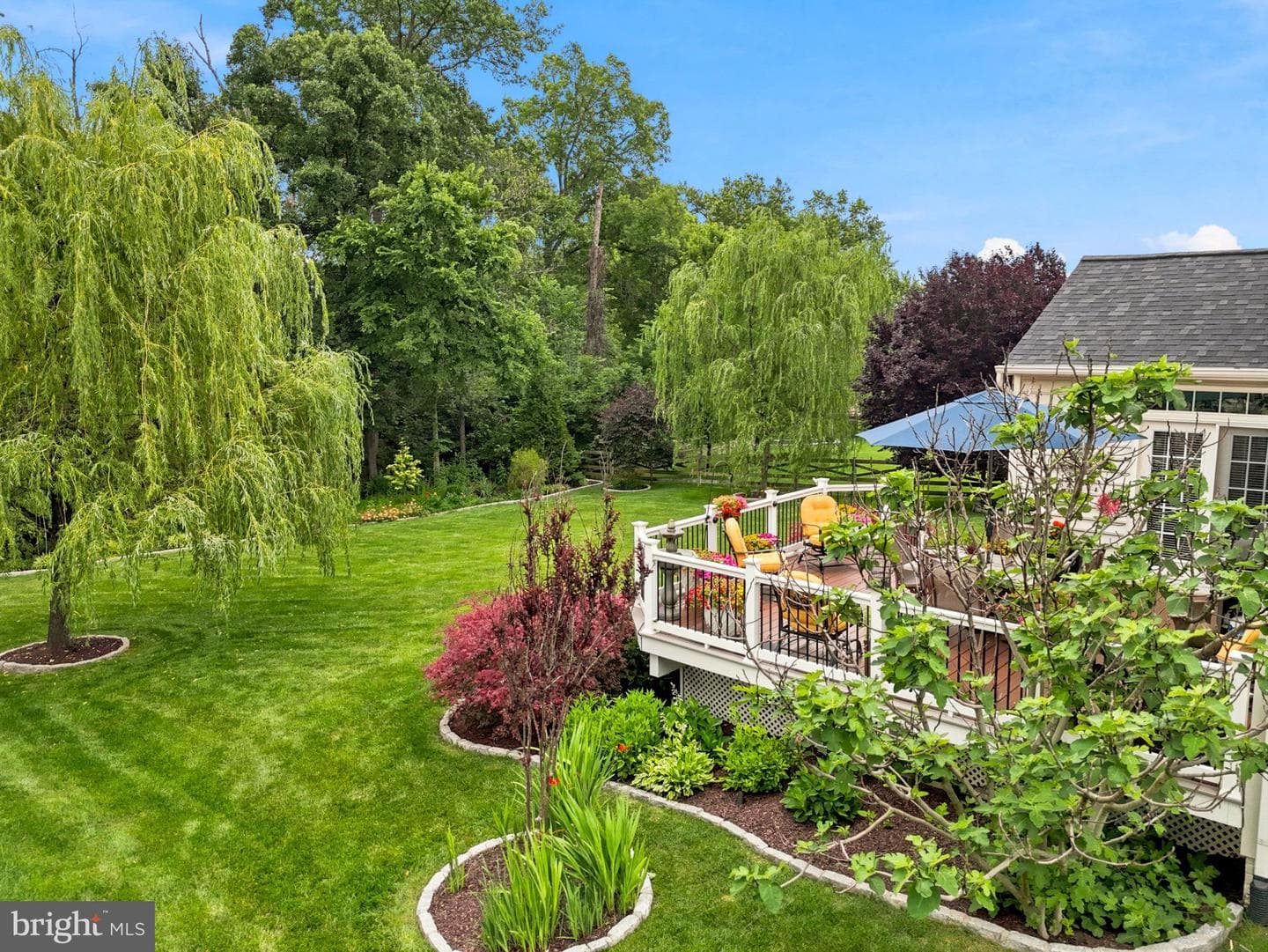 41526 Bostonian Place photo 53