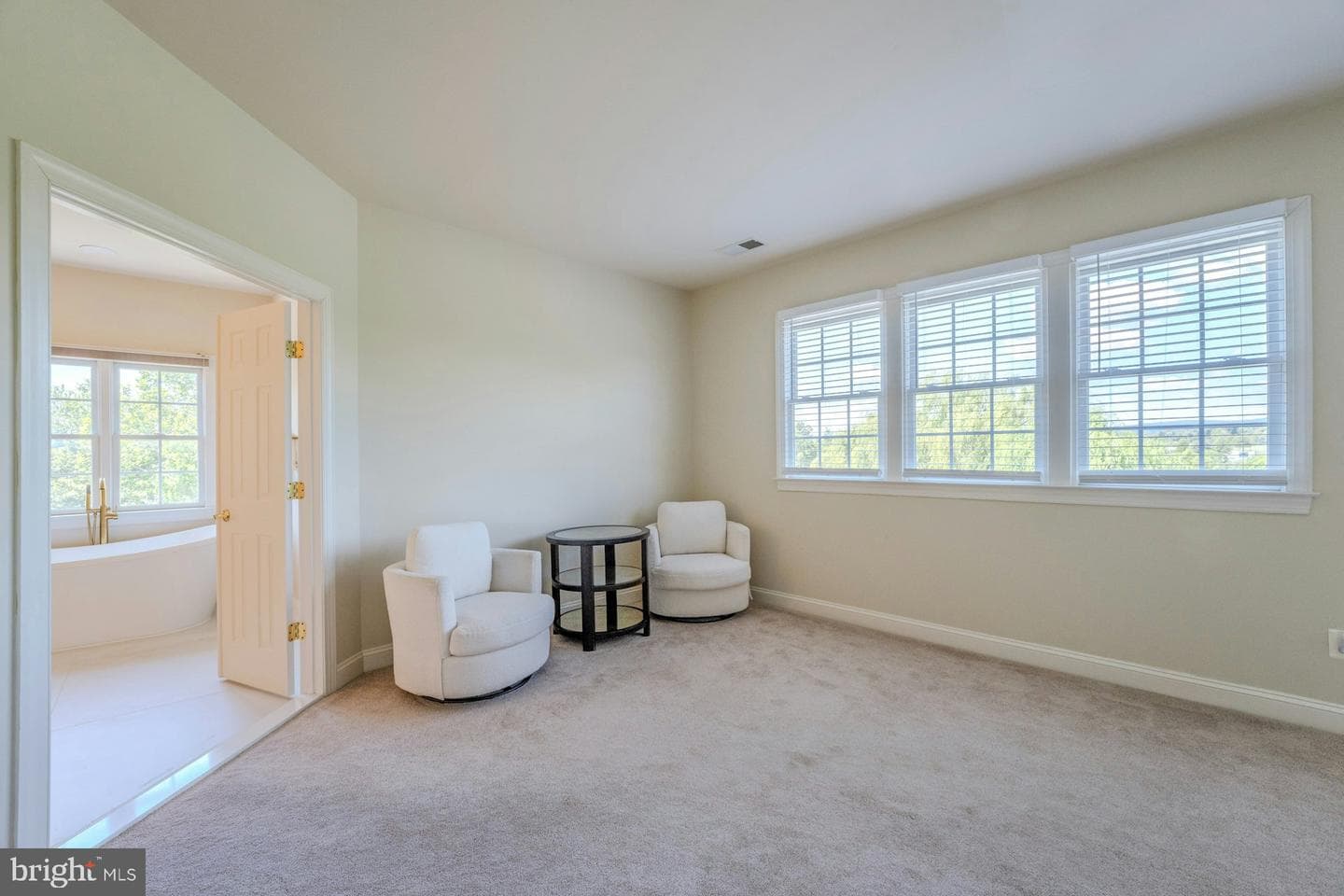 16619 Chestnut Overlook Drive photo 36