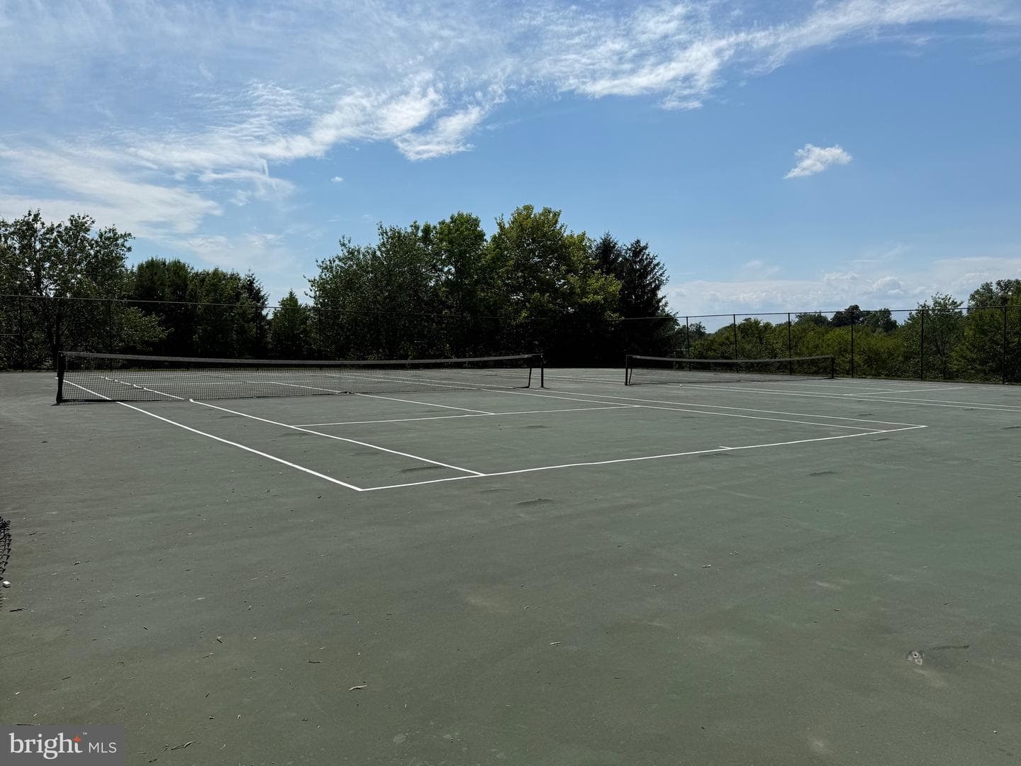 20363 Flushing Meadows Court photo 57