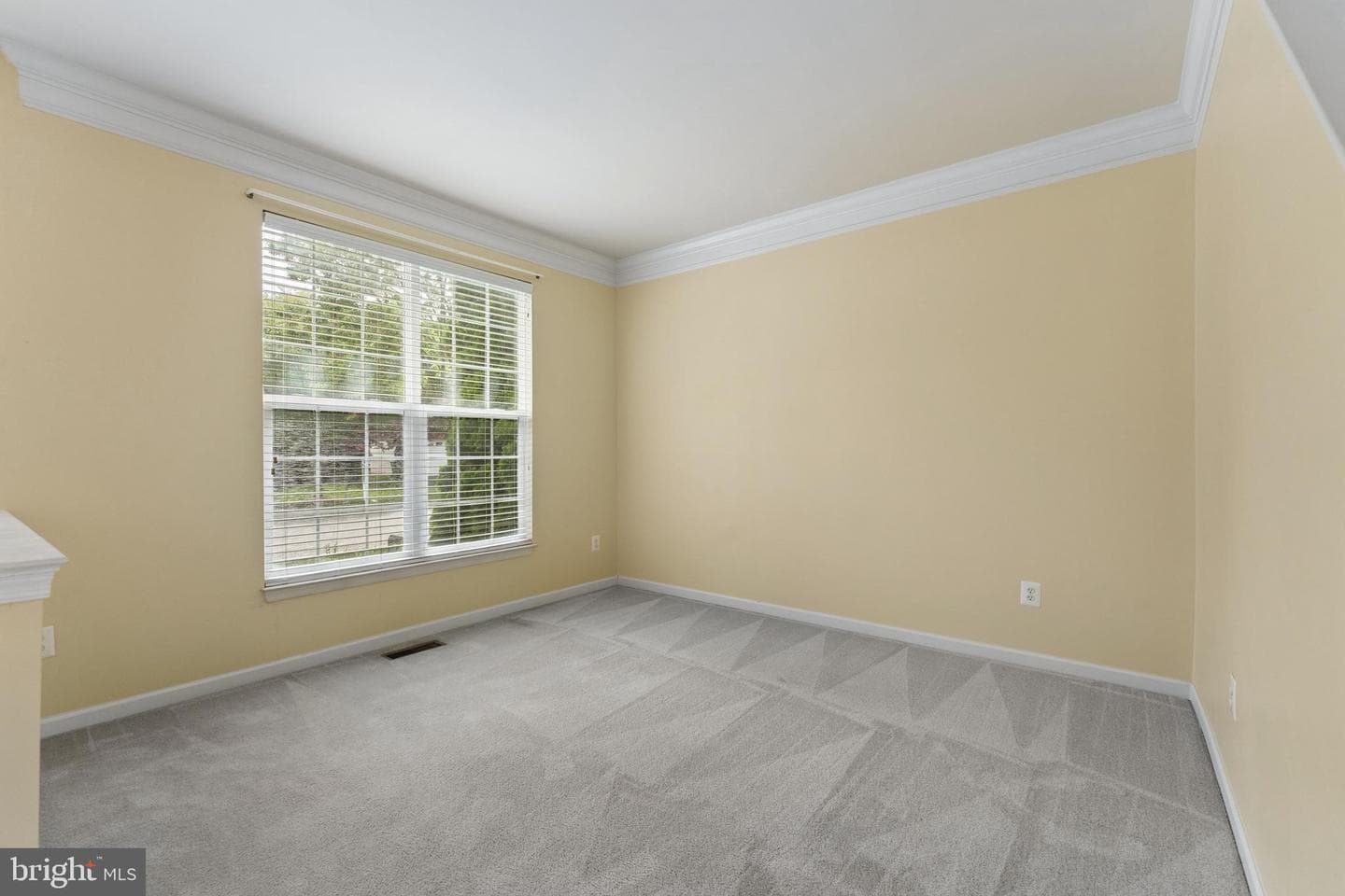 42650 Harris Street photo 10