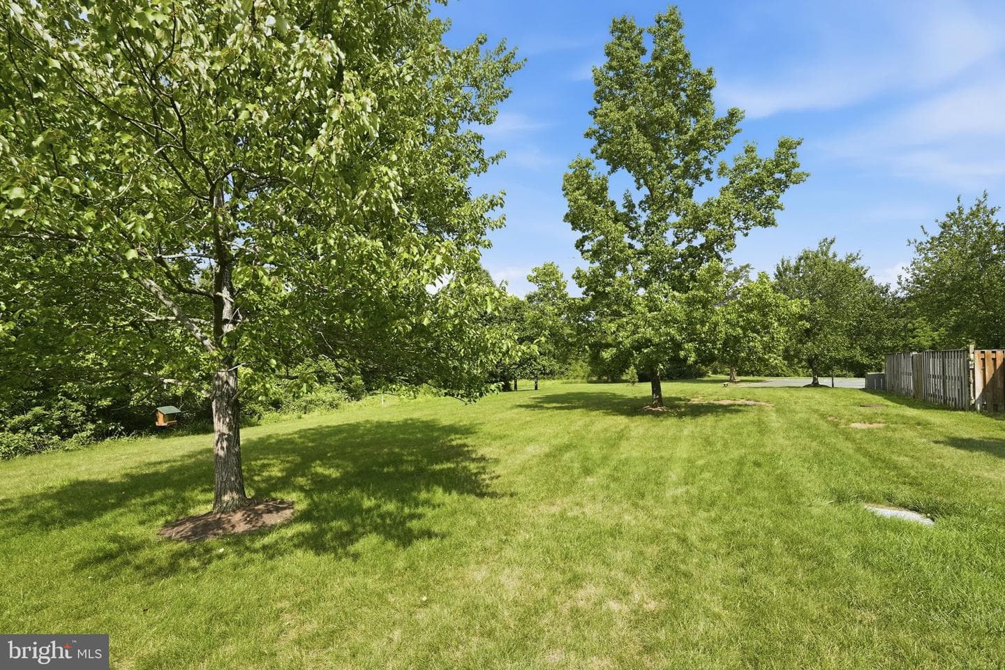 43571 Plantation Terrace photo 38