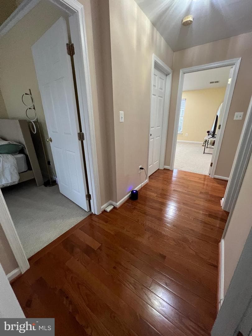 43723 Banshee Heights Terrace photo 35