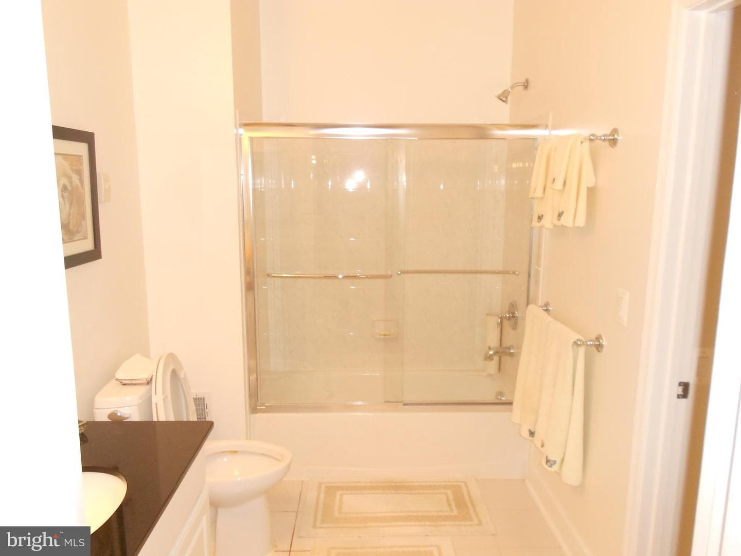44398 Maltese Falcon Square photo 13