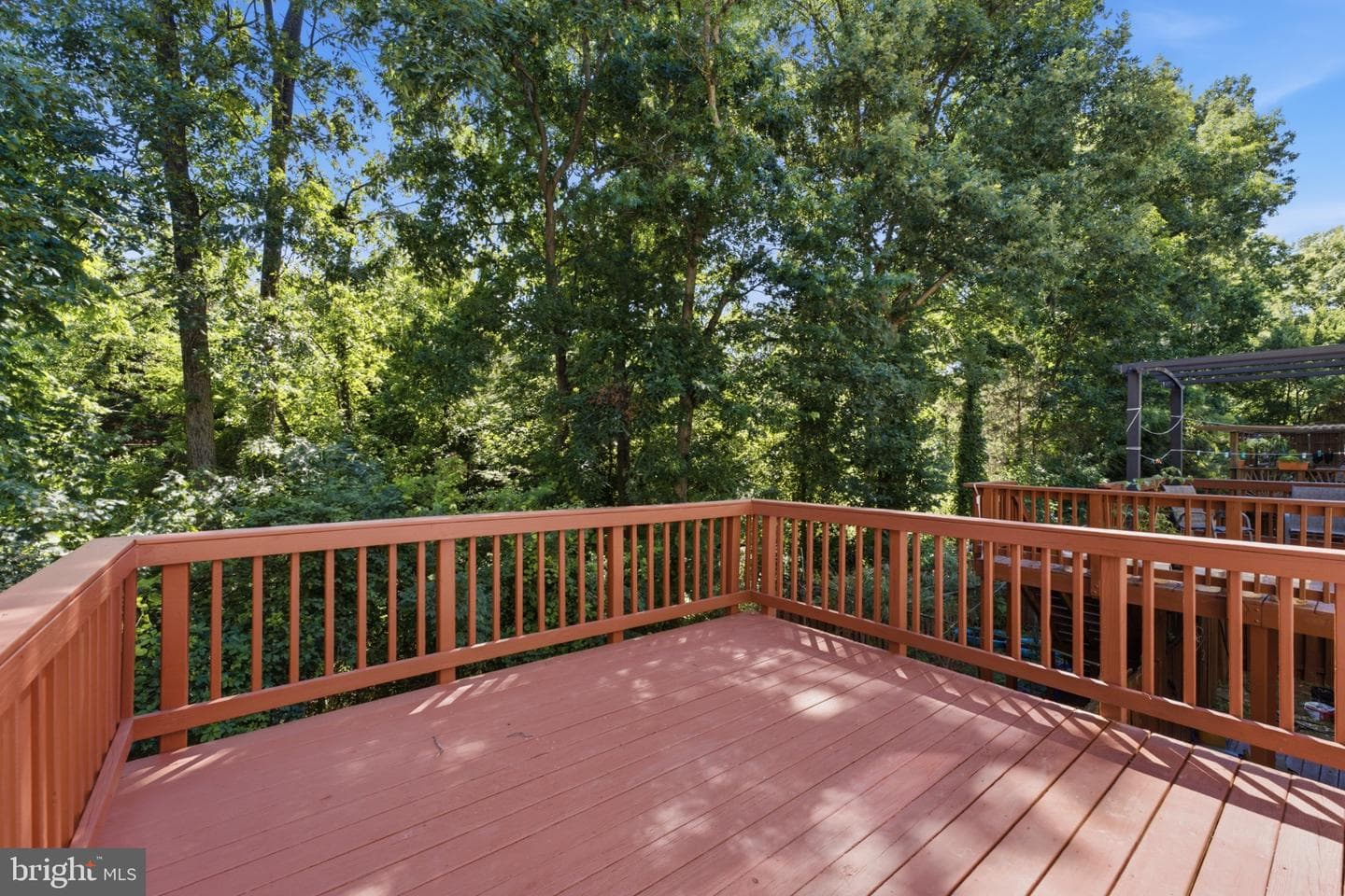 46757 Hobblebush Terrace photo 12
