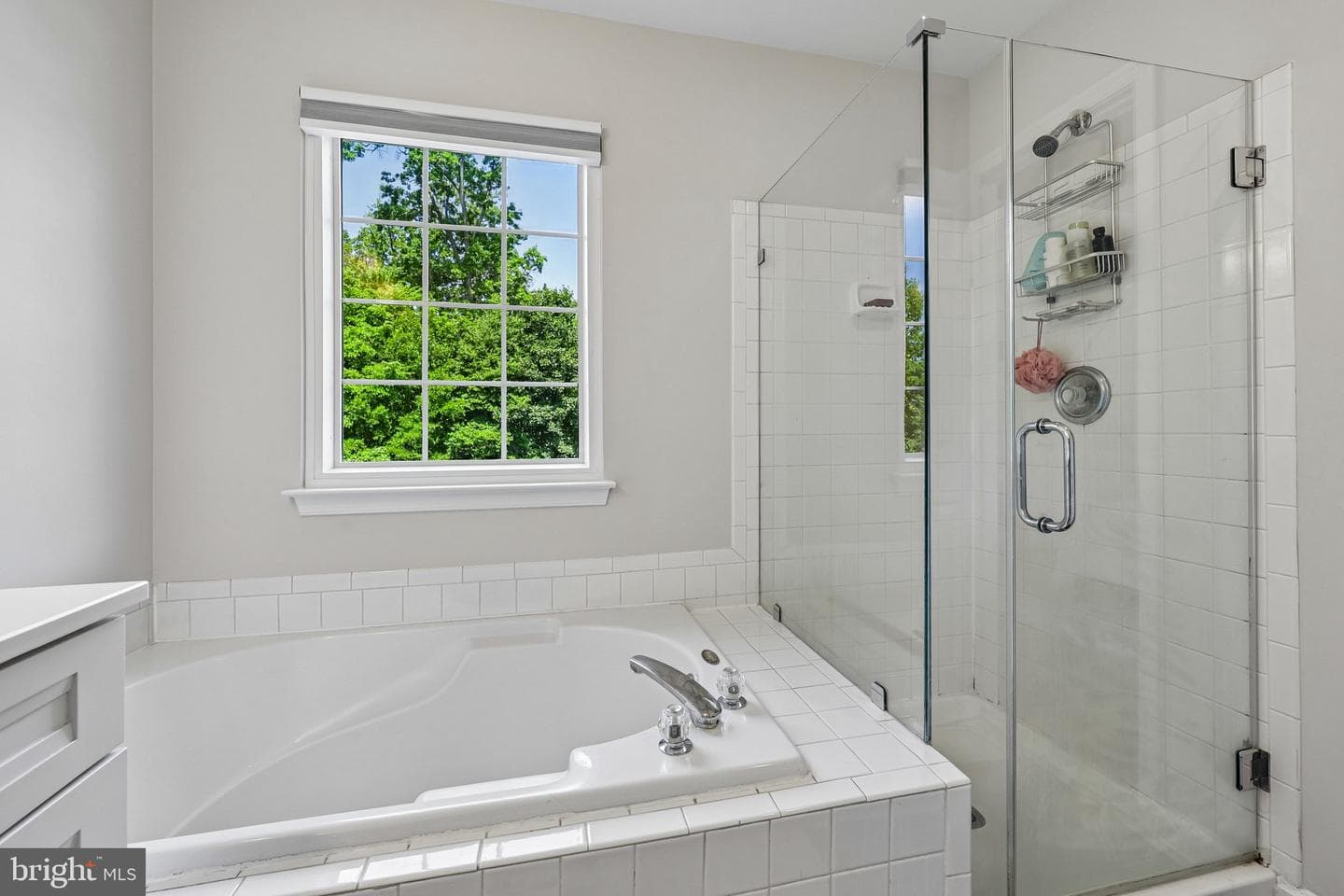 20567 Warburton Bay Square photo 26