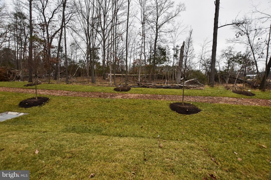 42452 Dogwood Glen Square photo 3