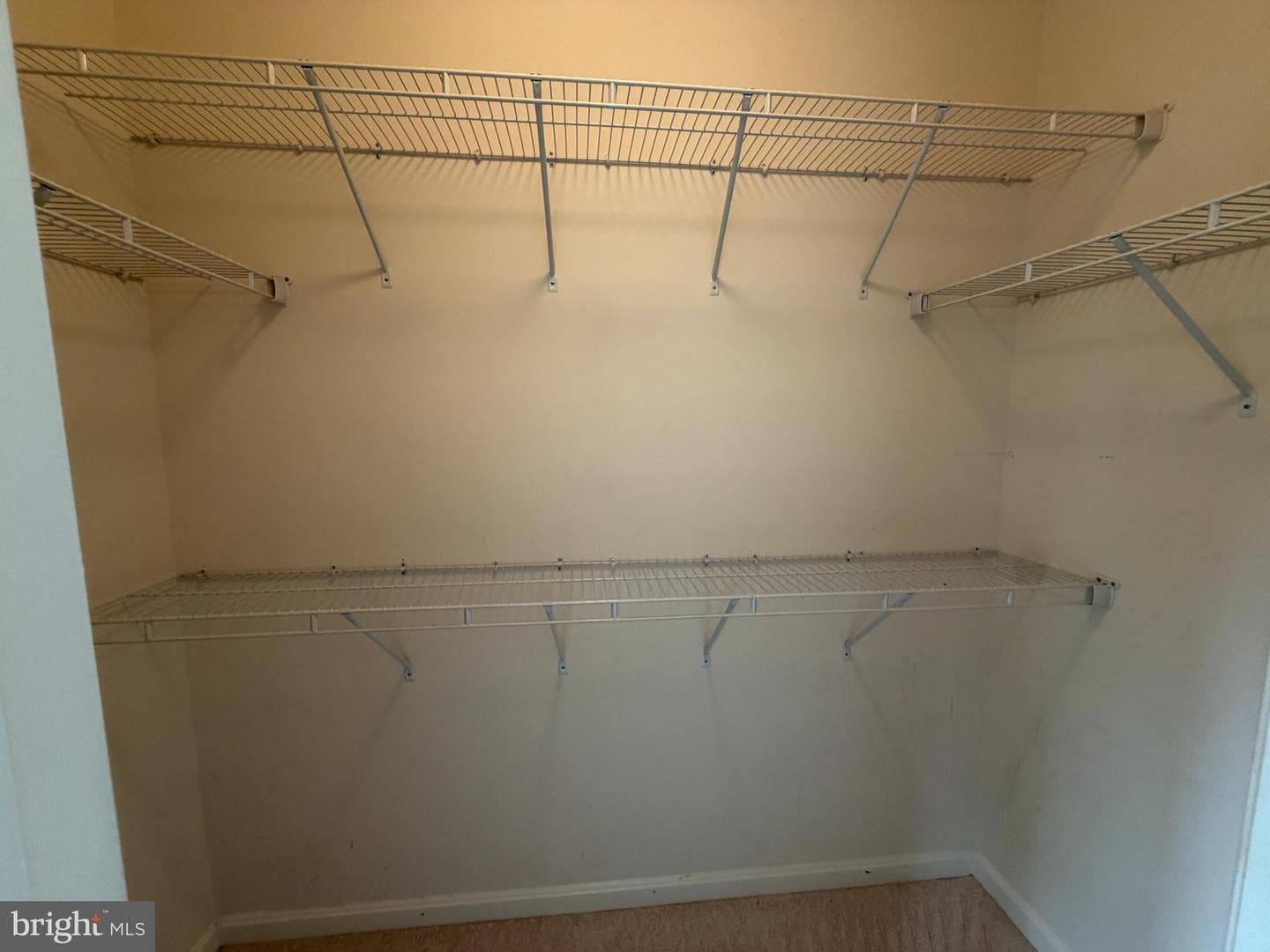 42274 Peregrine Terrace photo 44