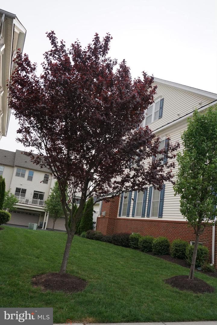 22535 Willington Square photo 4