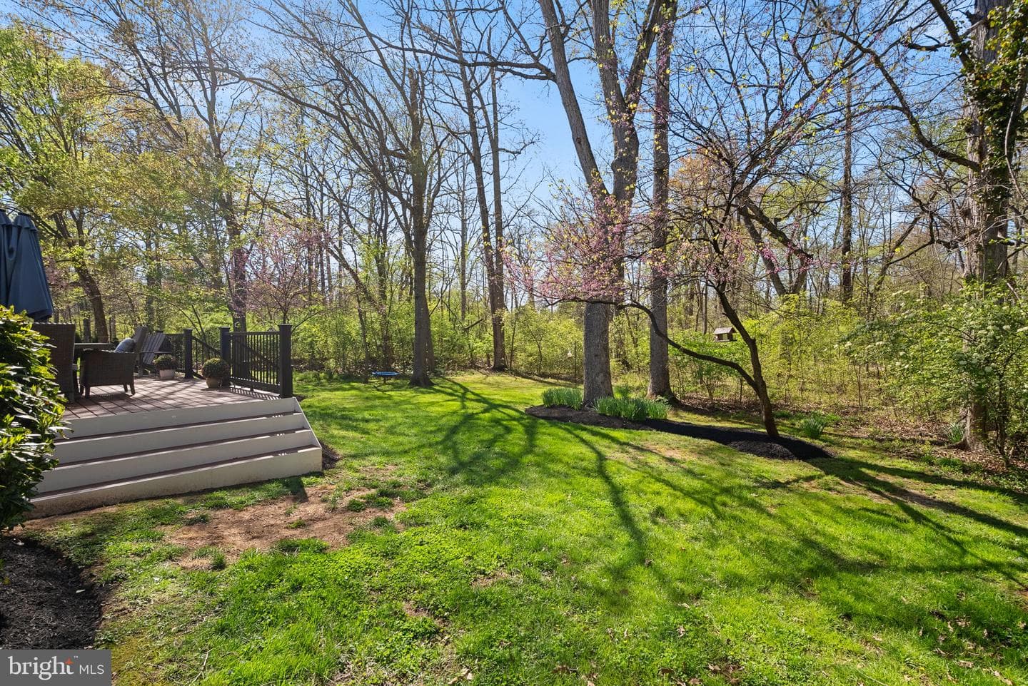26 Lipscomb Court photo 45