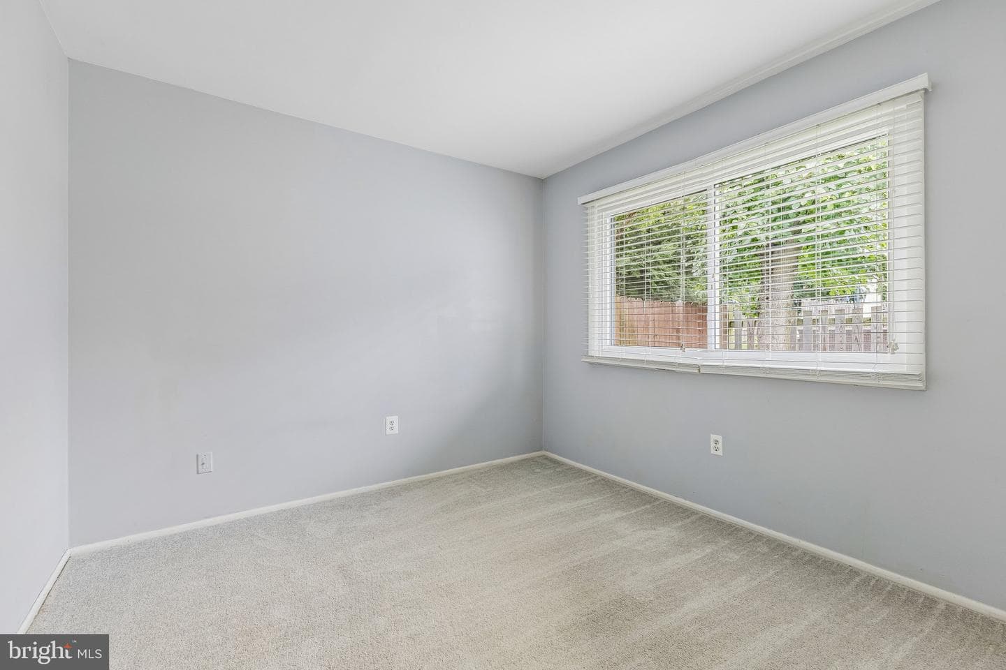 246 Avondale Drive photo 19