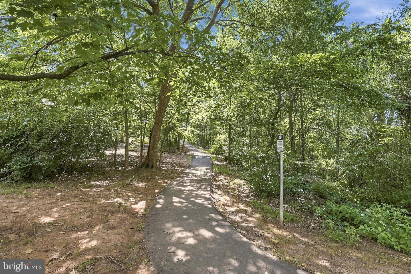 21140 Winding Brook Square photo 45