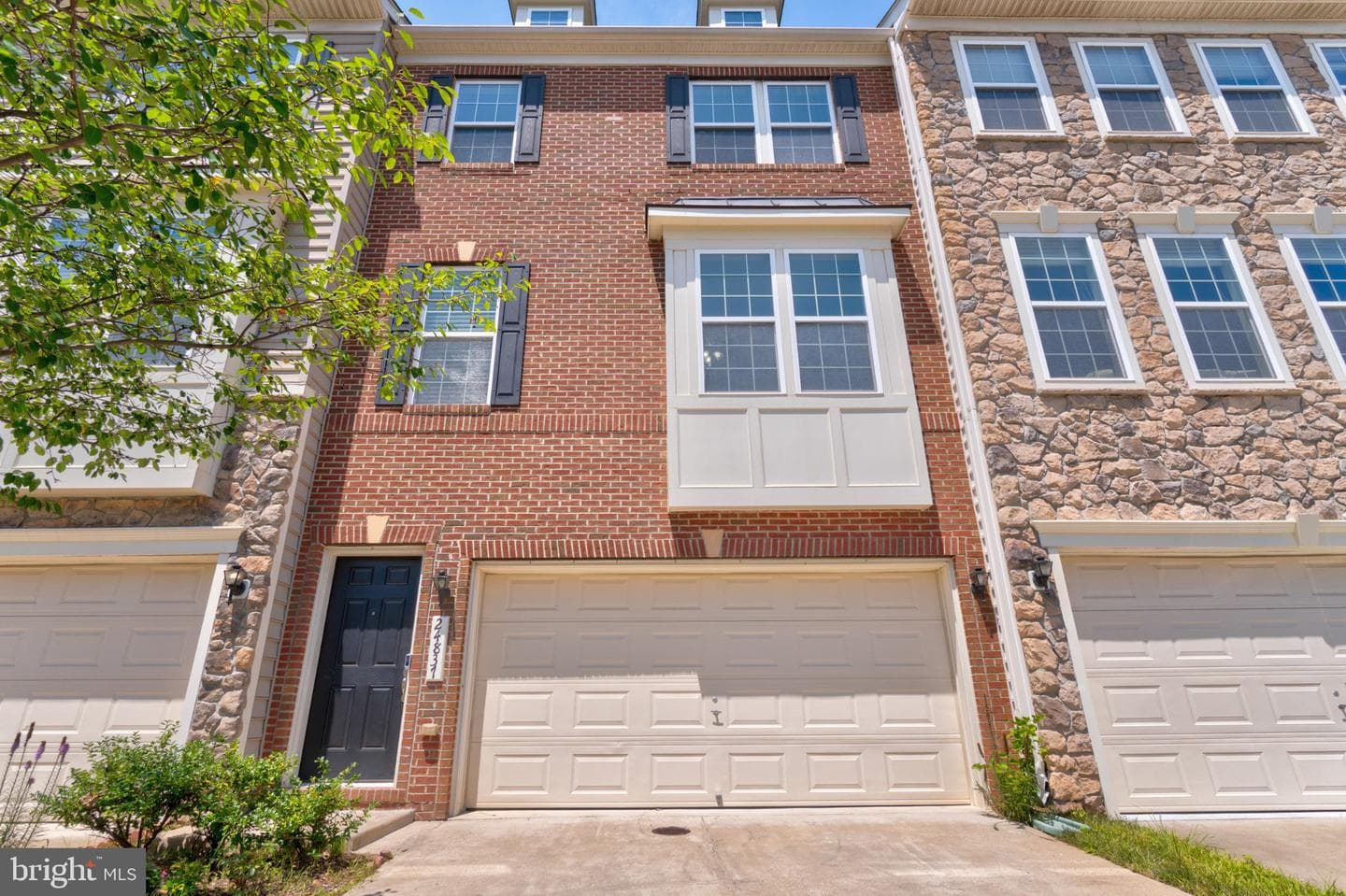 24837 Mason Terrace photo 3
