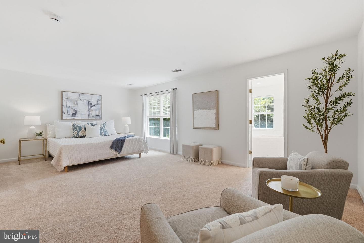 43451 Laidlow Street photo 17