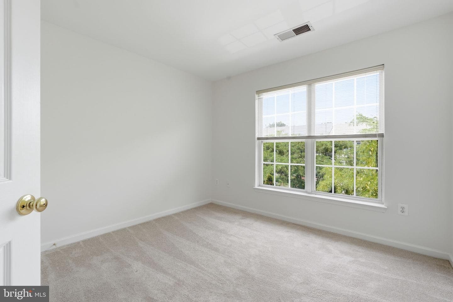 43451 Laidlow Street photo 25