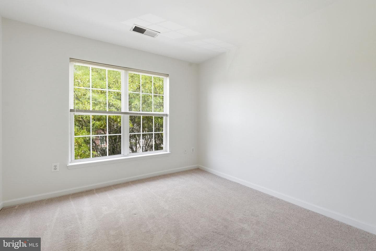 43451 Laidlow Street photo 27