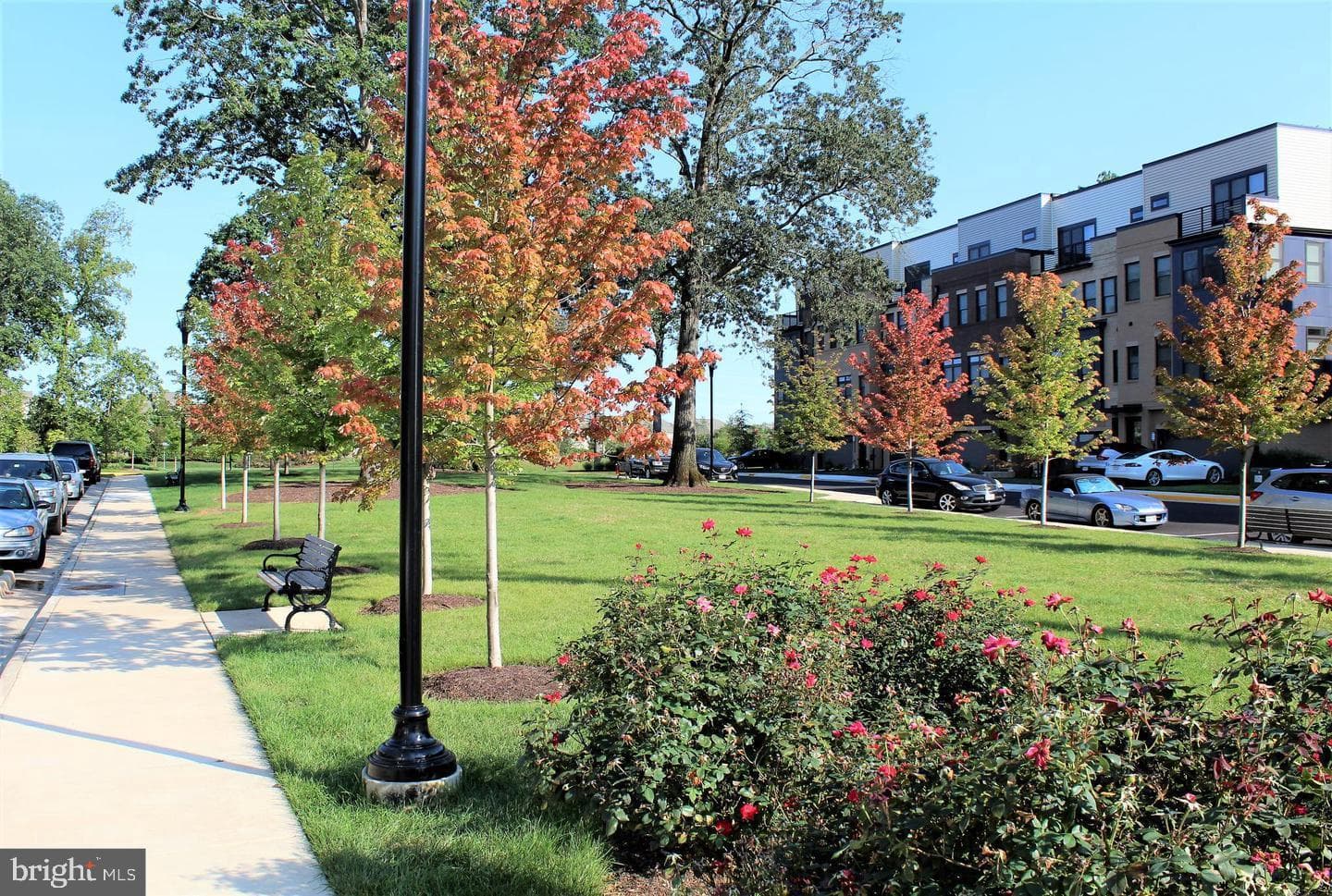 42460 Mildred Landing Square photo 8