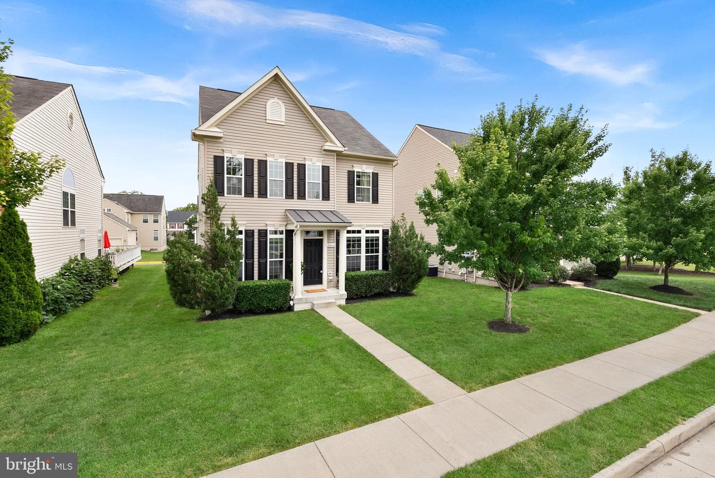 26042 First Frost Way photo 1