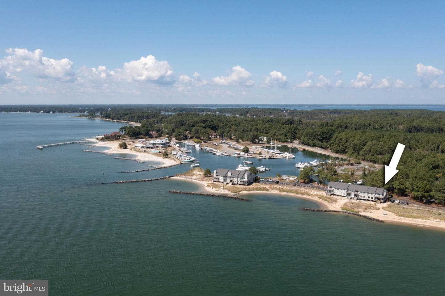 141 Beach Cove Drive photo 54